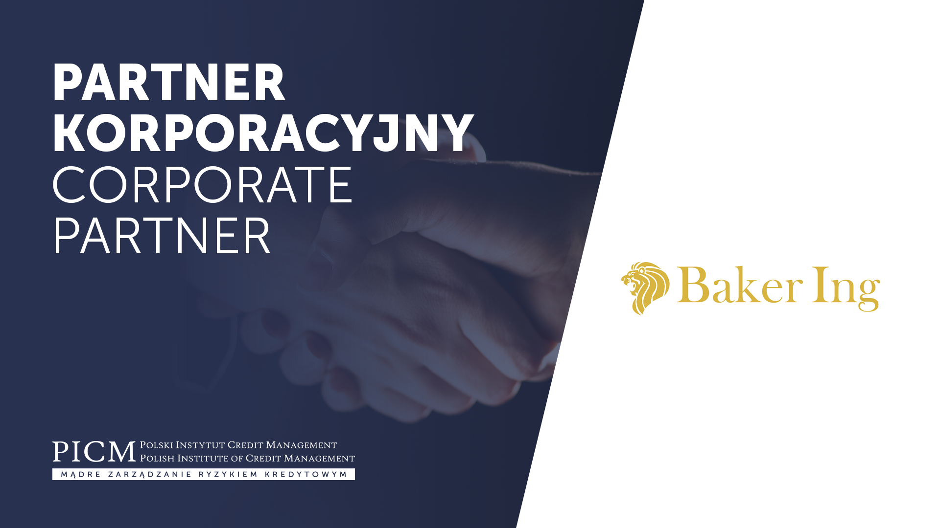 Partner Korporacyjny / Corporate Partner