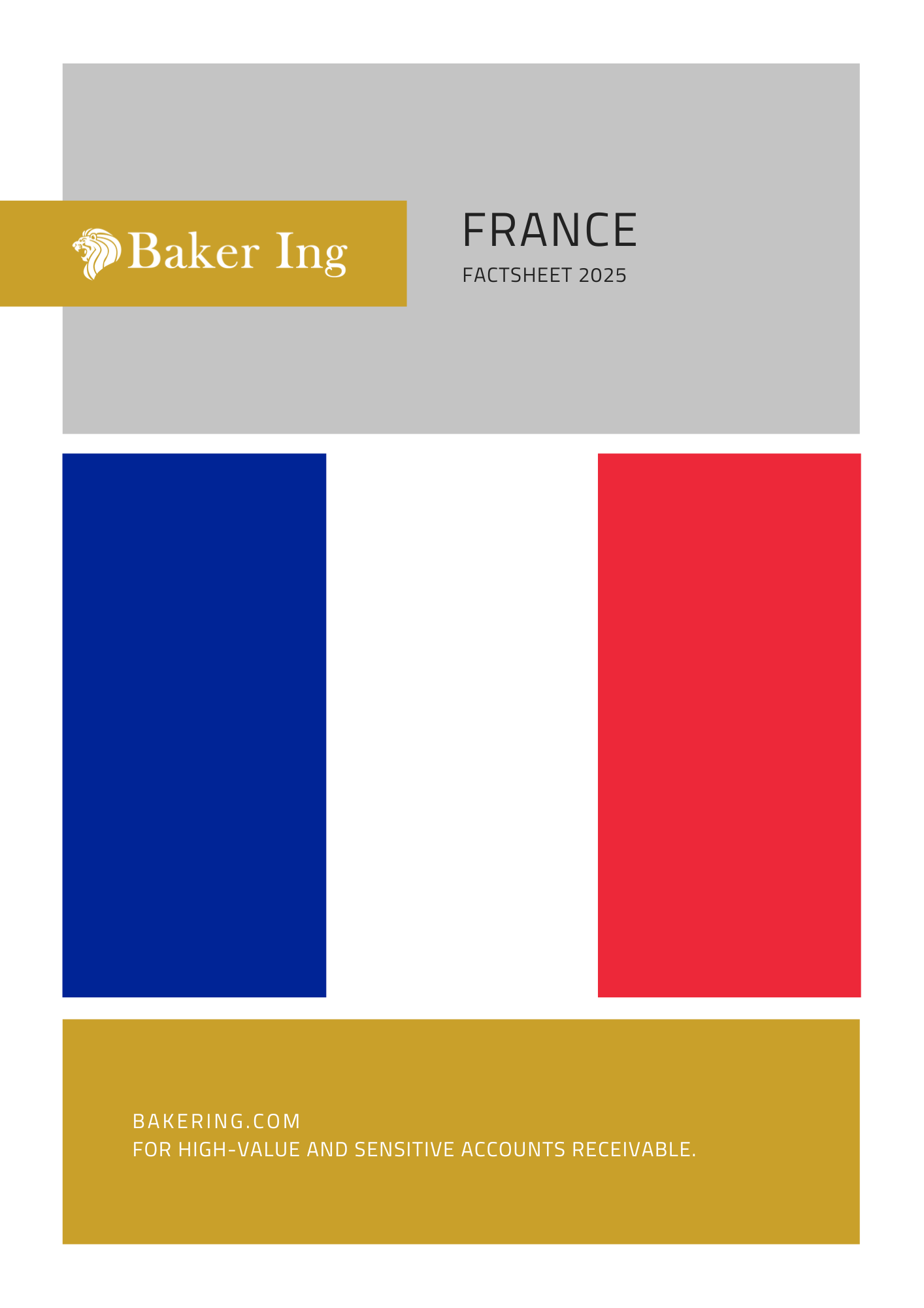 France Factsheet 2025 with essential insights for Credit Managers