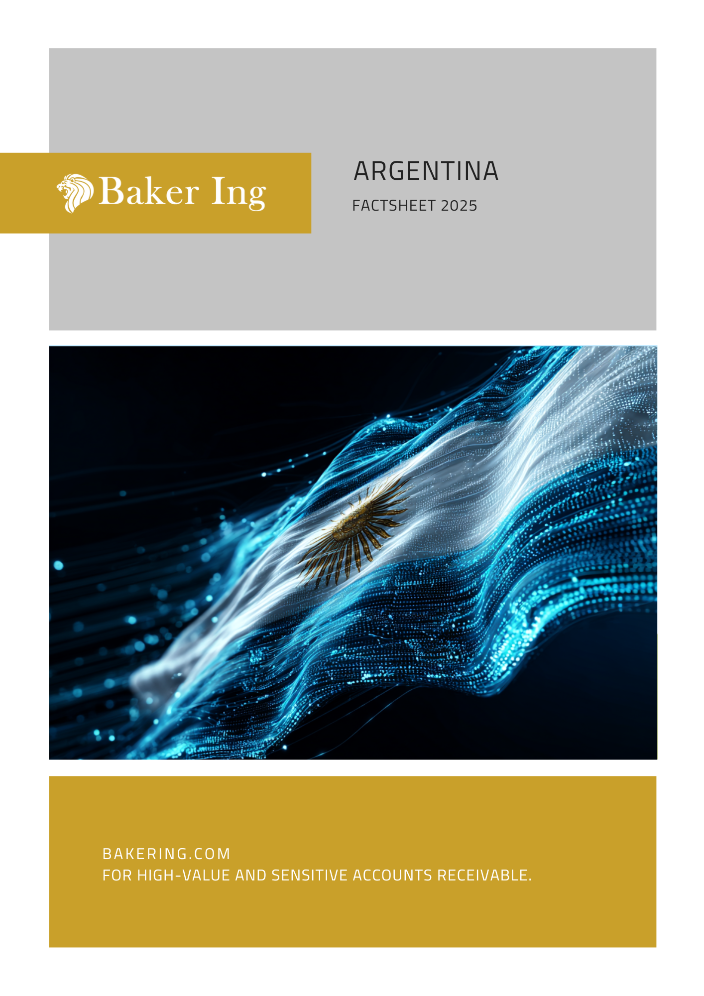 Baker Ing Argentina Factsheet 2025 highlighting key insights for Credit Managers